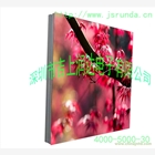 供應LED櫥窗顯示屏